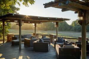 zambia south luangwa national park mfuwe lodge 18 1