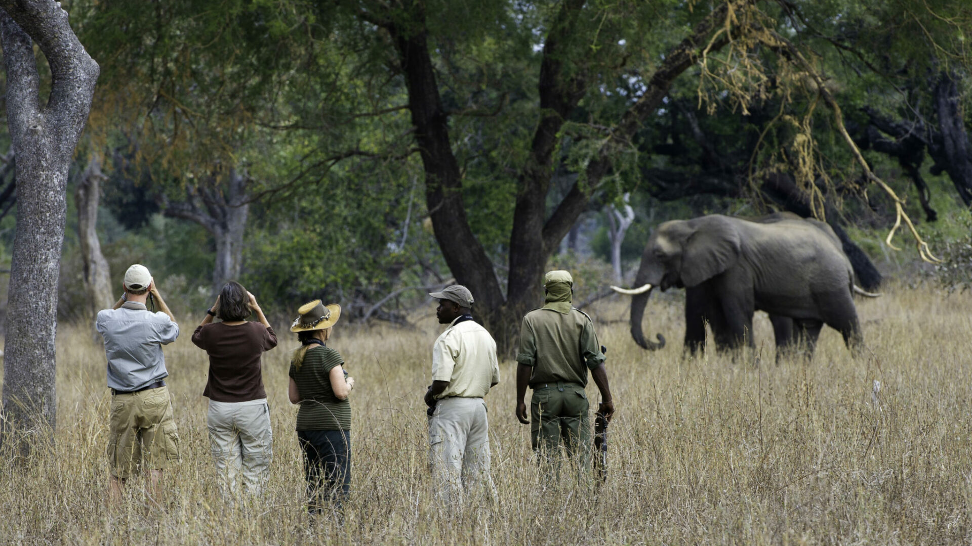 zambia south luangwa national park mfuwe lodge 27