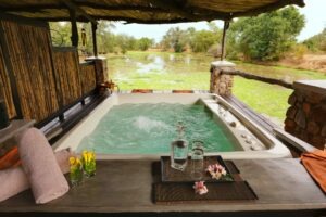 zambia south luangwa national park mfuwe lodge 7 1