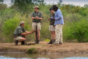 south africa madikwe jacis tree lodge 10