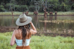 south africa madikwe jacis tree lodge 14