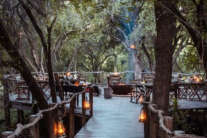 south africa madikwe jacis tree lodge 19