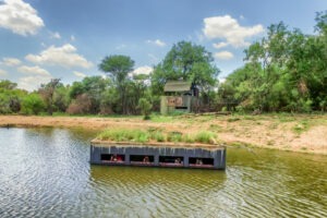 south africa madikwe jacis tree lodge 2