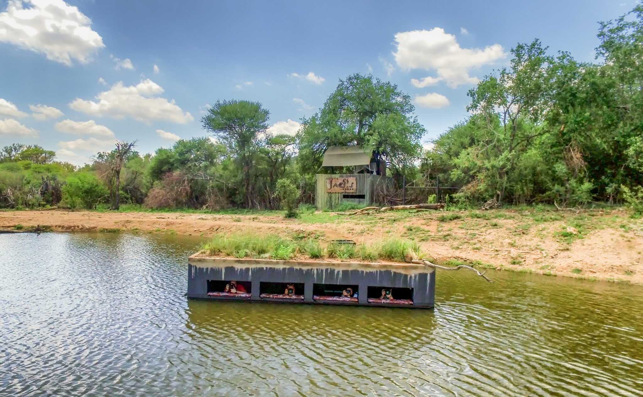 south africa madikwe jacis tree lodge 2
