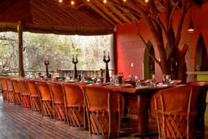 south africa madikwe jacis tree lodge 20