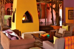south africa madikwe jacis tree lodge 21