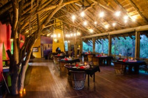 south africa madikwe jacis tree lodge 22