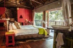 south africa madikwe jacis tree lodge 23