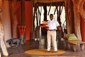 south africa madikwe jacis tree lodge 26