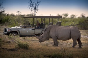 south africa madikwe jacis tree lodge 3