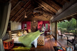 south africa madikwe jacis tree lodge 5