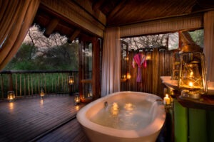 south africa madikwe jacis tree lodge 6