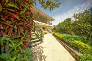 uganda entebbe papyrus guest house 10