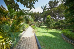 uganda entebbe papyrus guest house 13