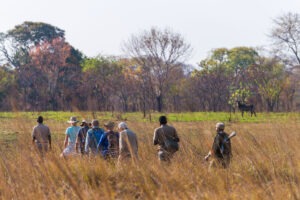 zambia kafue national park nanzhila plains camp 10