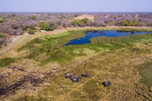 zambia kafue national park nanzhila plains camp 14