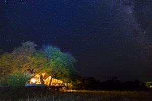 zambia kafue national park nanzhila plains camp 6