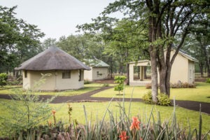 zimbabwe hwange national park robins camp 10
