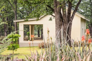 zimbabwe hwange national park robins camp 9