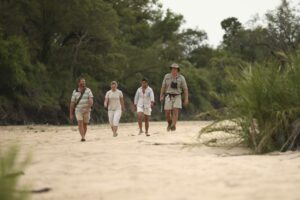 south africa kruger national park ngala safari lodge 1