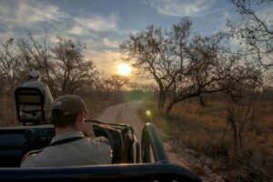 south africa kruger national park ngala safari lodge 15
