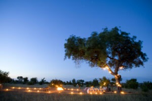 south africa kruger national park ngala safari lodge 28
