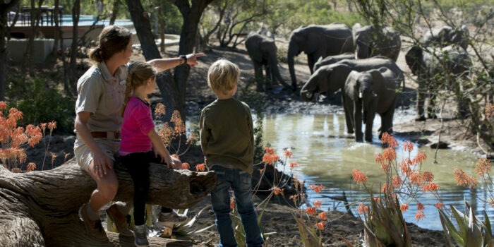 south africa kruger national park ngala safari lodge 29