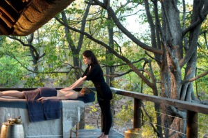 south africa kruger national park ngala safari lodge 33