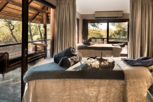 south africa kruger national park ngala safari lodge 34