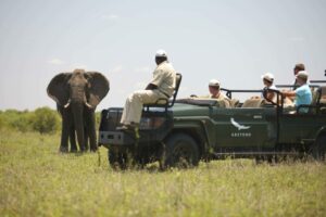 south africa kruger national park ngala safari lodge 35