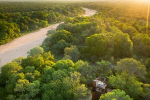 south africa kruger national park ngala safari lodge 36