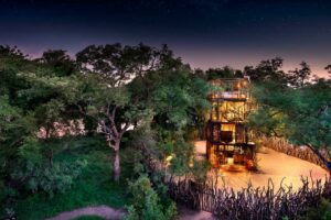 south africa kruger national park ngala safari lodge 40