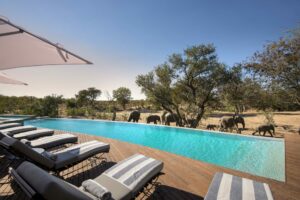 south africa kruger national park ngala safari lodge 5