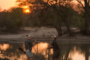 south africa greater kruger balule africa on foot wilderness trails camp 15