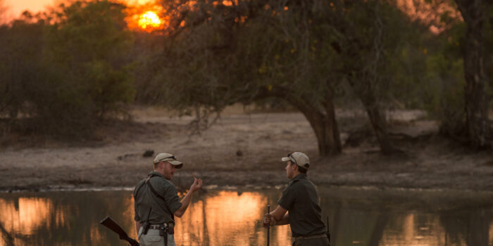 south africa greater kruger balule africa on foot wilderness trails camp 15