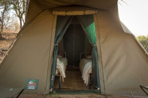 south africa greater kruger balule africa on foot wilderness trails camp 26