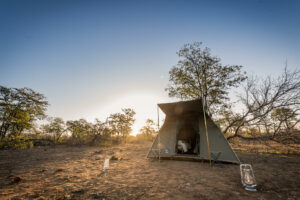 south africa greater kruger balule africa on foot wilderness trails camp 27