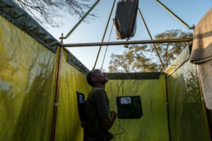 south africa greater kruger balule africa on foot wilderness trails camp 28