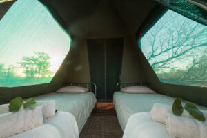 south africa greater kruger balule africa on foot wilderness trails camp 32