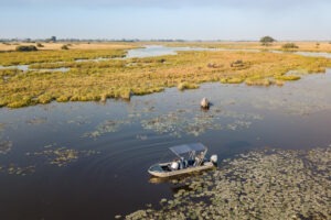 botswana linyanti selinda camp 16