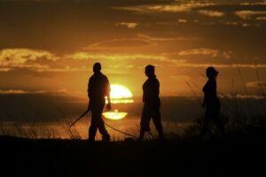 botswana linyanti selinda camp 21