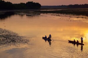 botswana maun thamalakane river lodge 11