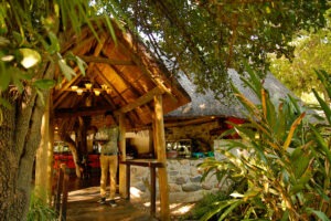 botswana maun thamalakane river lodge 19
