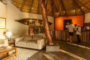 botswana maun thamalakane river lodge 7