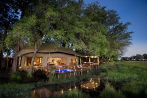 botswana okavango delta duba plains camp 16