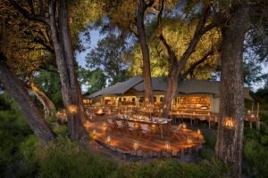 botswana okavango delta duba plains camp 22