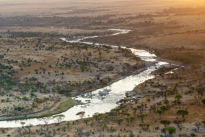 tanzania serengeti mara mara tented lodge 12