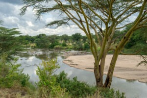 tanzania serengeti mara mara tented lodge 18