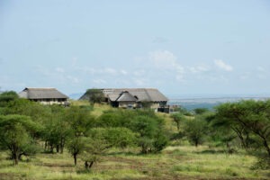 tanzania serengeti mara mara tented lodge 19