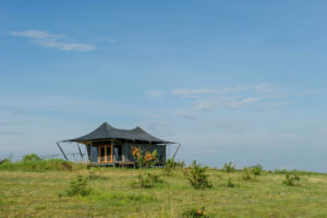 tanzania serengeti mara mara tented lodge 4